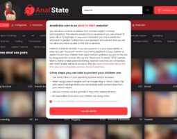 AnalState